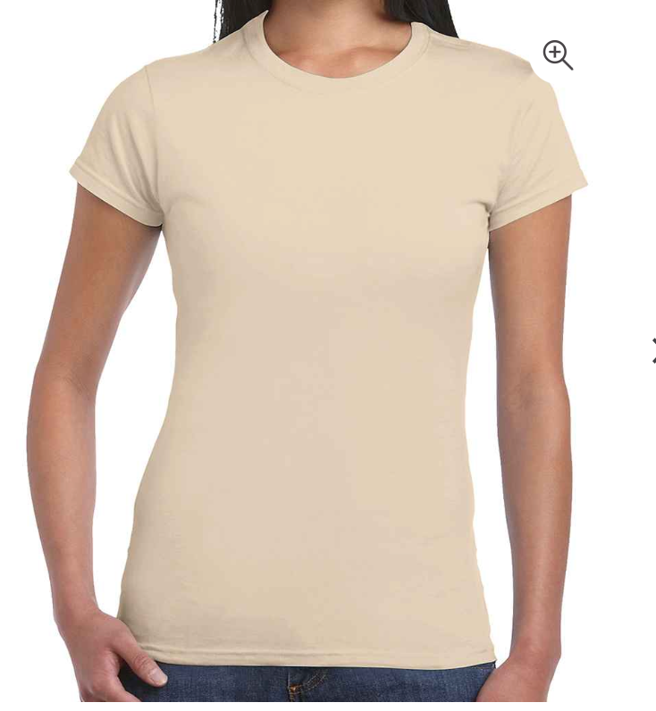 PLAIN LADIES FIT T-Shirt